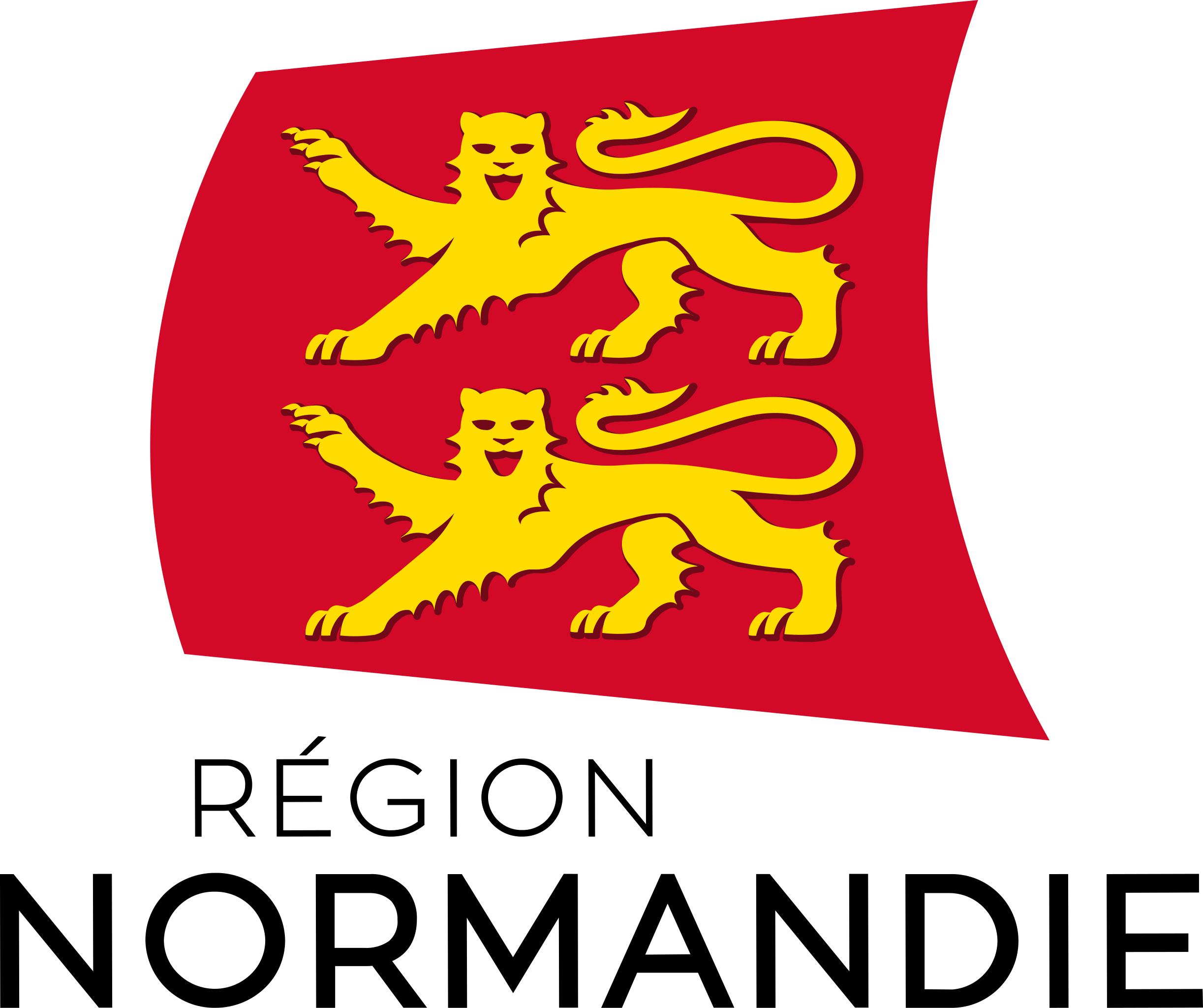 Partenaire 1